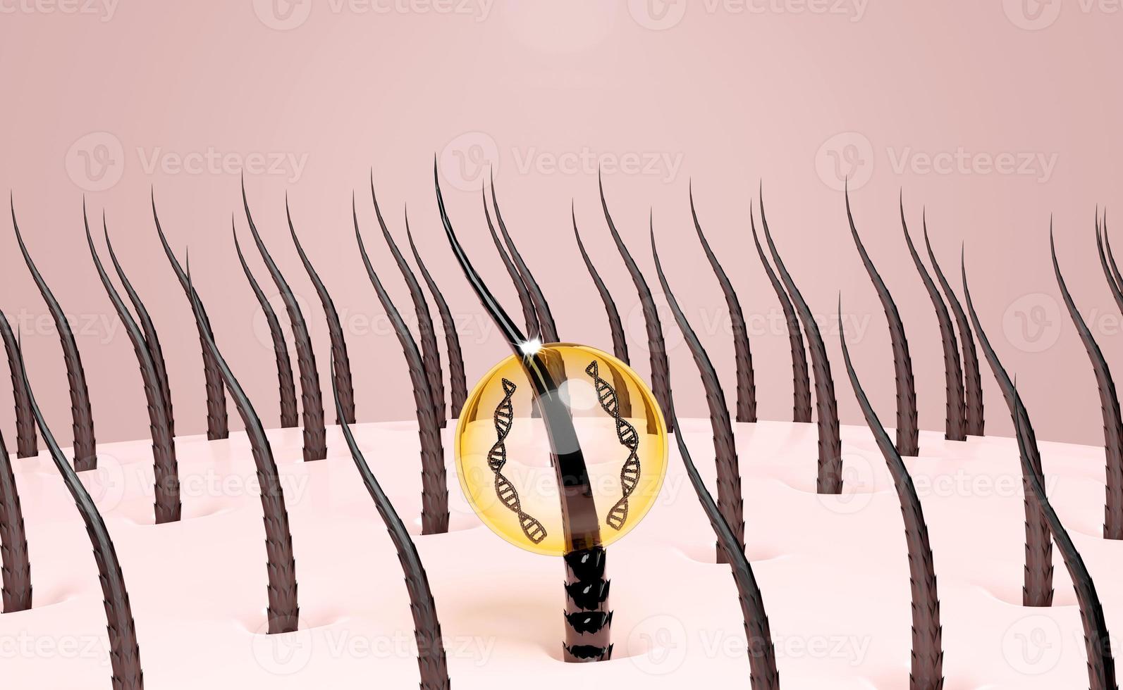 restore and nourish hair, scalp with shampoo, serum, treatment hair