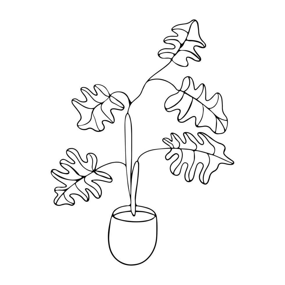 Potted palm tree in doodle style vector