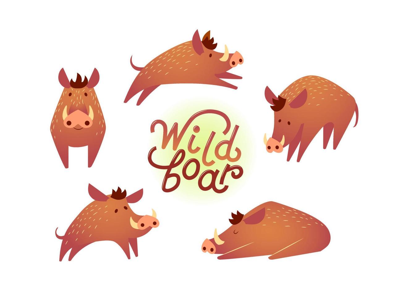 Wild animals boar vector flat design illustration. Set of cute boar illustrations