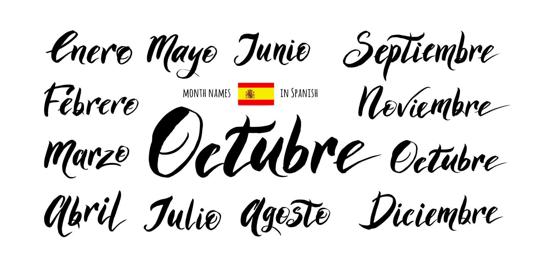 los nombres manuscritos de los meses en español. vector