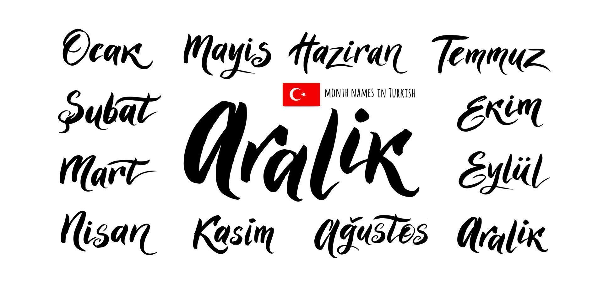 The handwritten names of the months in Turkish. vector