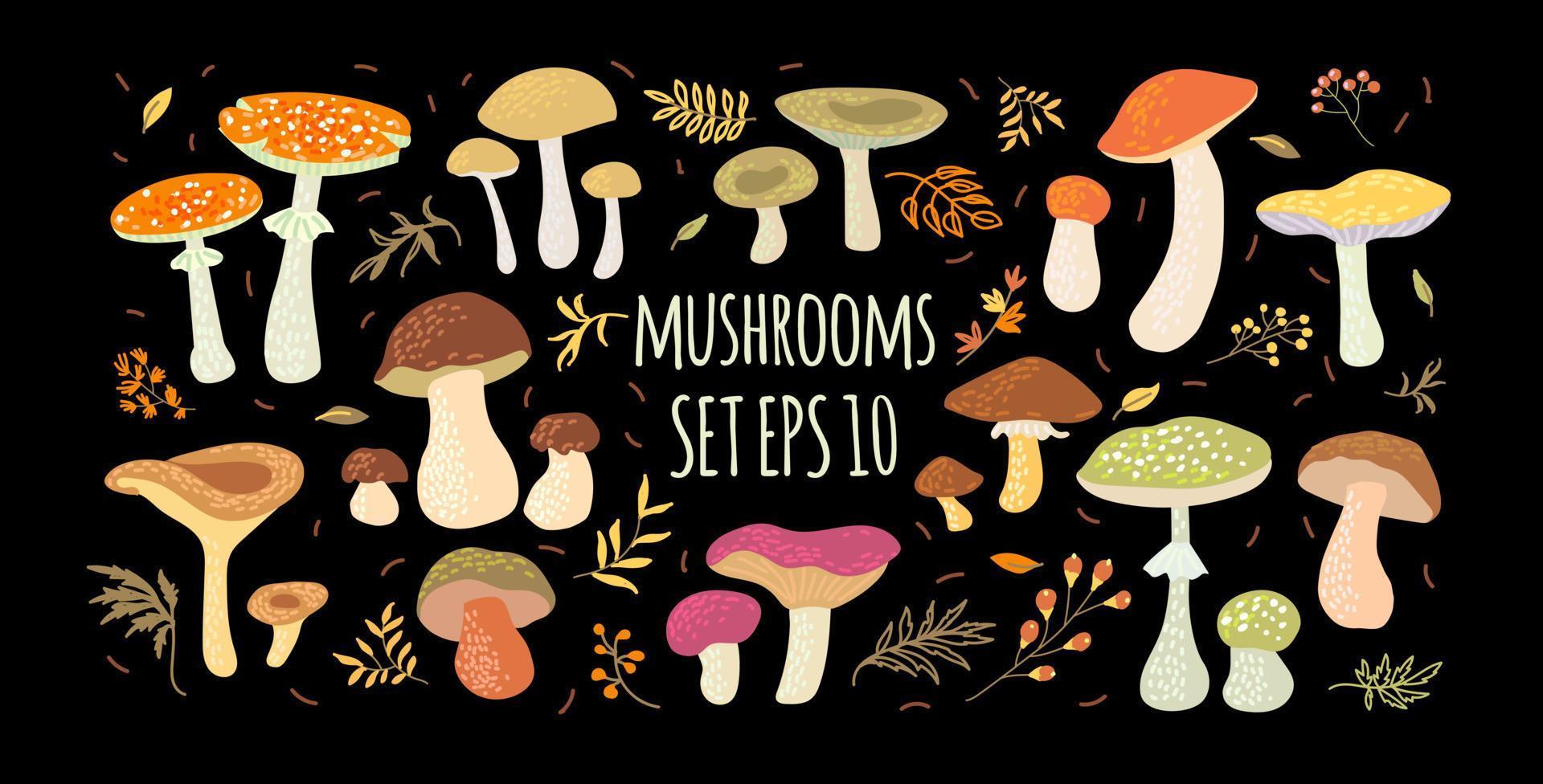 A set of various painted mushrooms. Vector illustration, poster, postcard.