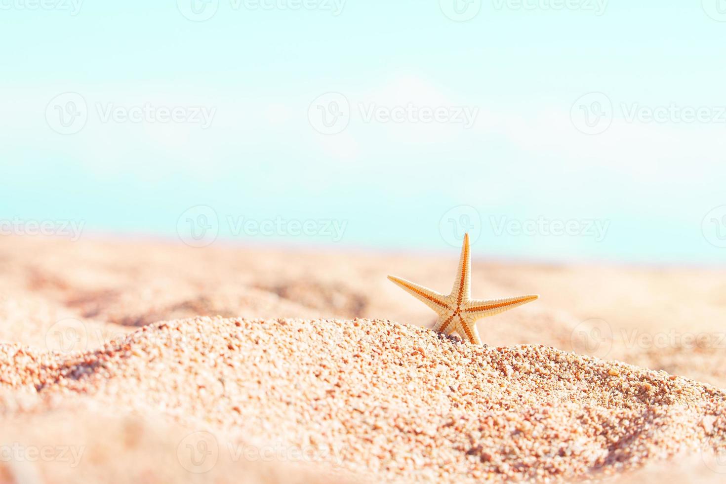 estrellas de mar en la playa de arena de verano, detrás del mar, soleado. relajarse, mar, viajar. copie el espacio foto