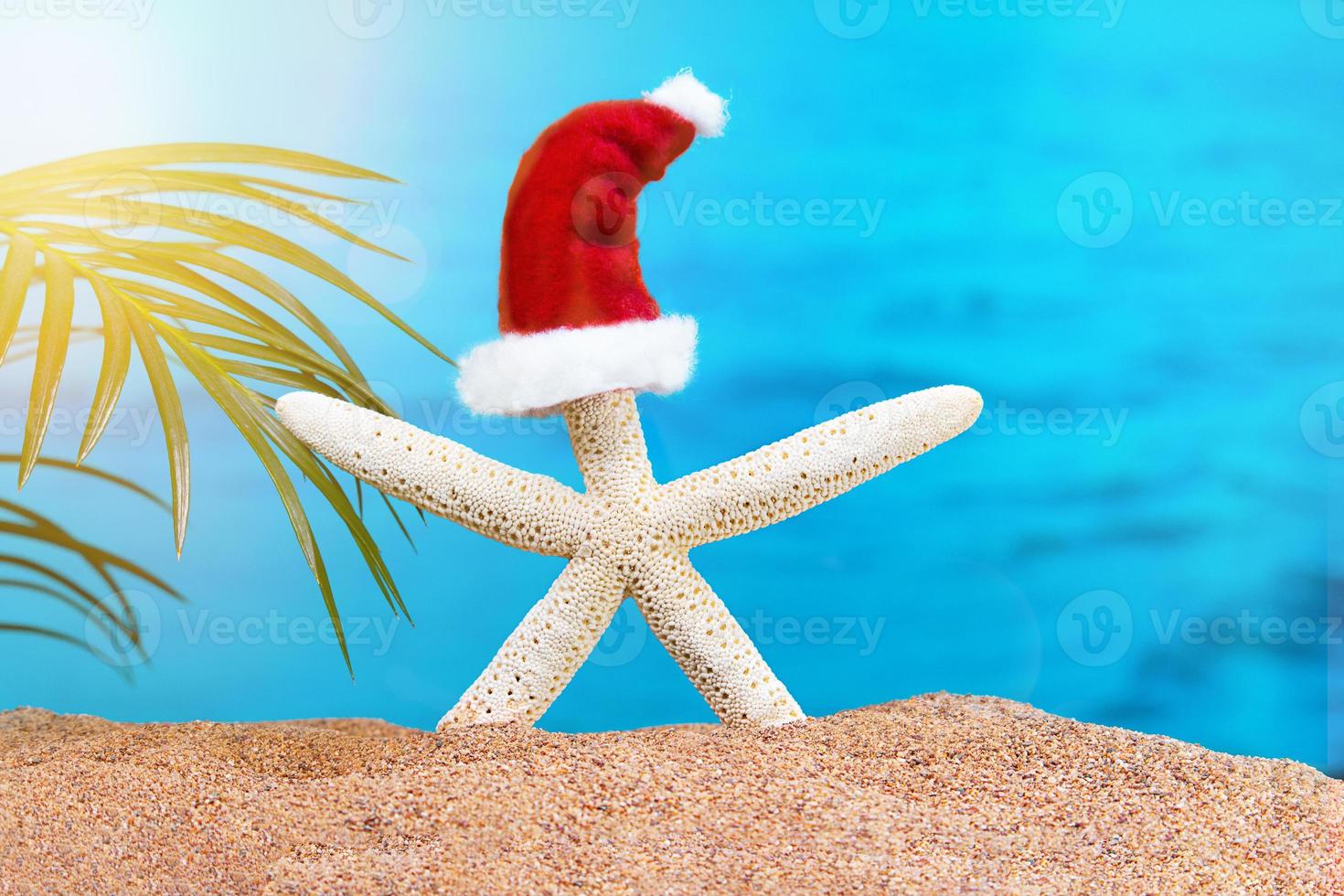 White starfish with Santa' hat on and of beach with sea and palm tree. Concept of Christmas, New Year in hot countries. Copy space photo