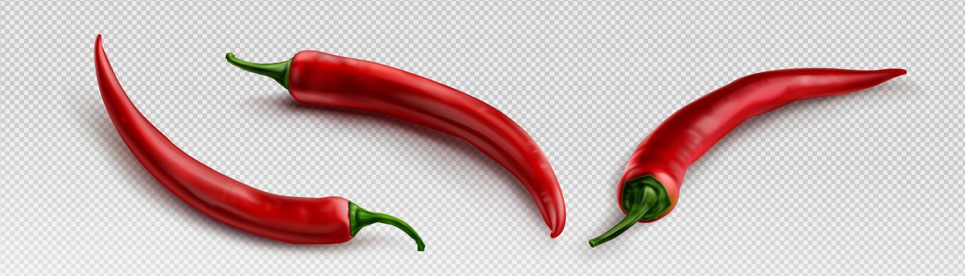 Chili pepper realistic 3d, transparent background vector