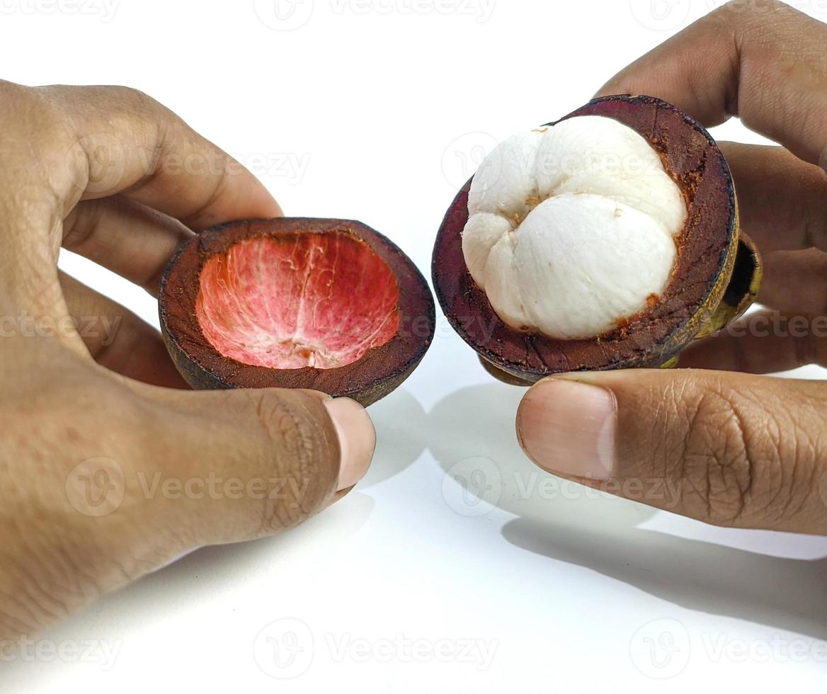 mangostán y sección transversal que muestra la gruesa piel morada y la carne blanca de la reina de las frutas, sobre fondo blanco foto