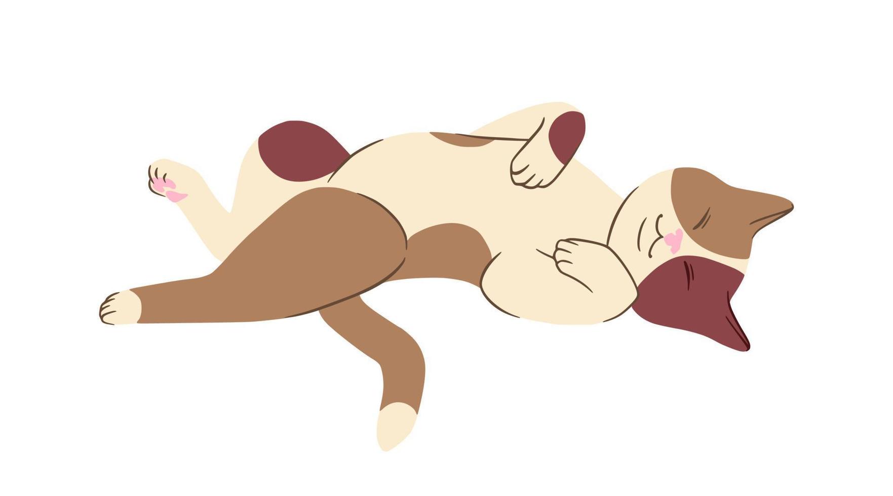 Lying calico cat in doodle style. Colored playful cat. Vector illustration