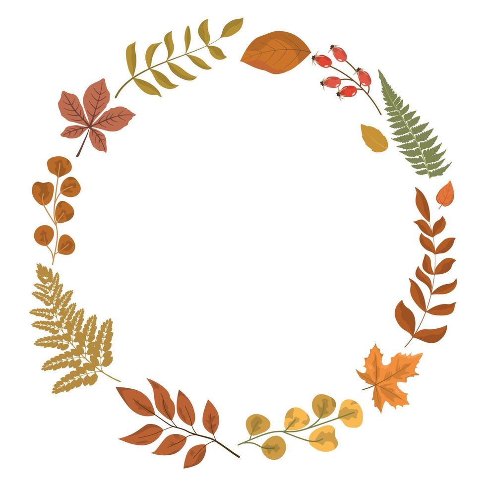 Autumn rustic round wreath card template with leaves and greenery border frame. Seasonal bright vibrant colors foliage, berries. Isolated on white background. vector