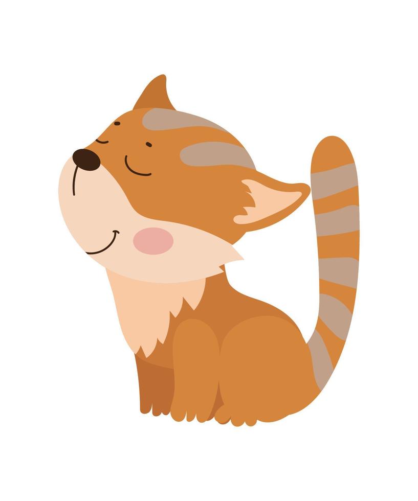 Vector illustrator of  Cat