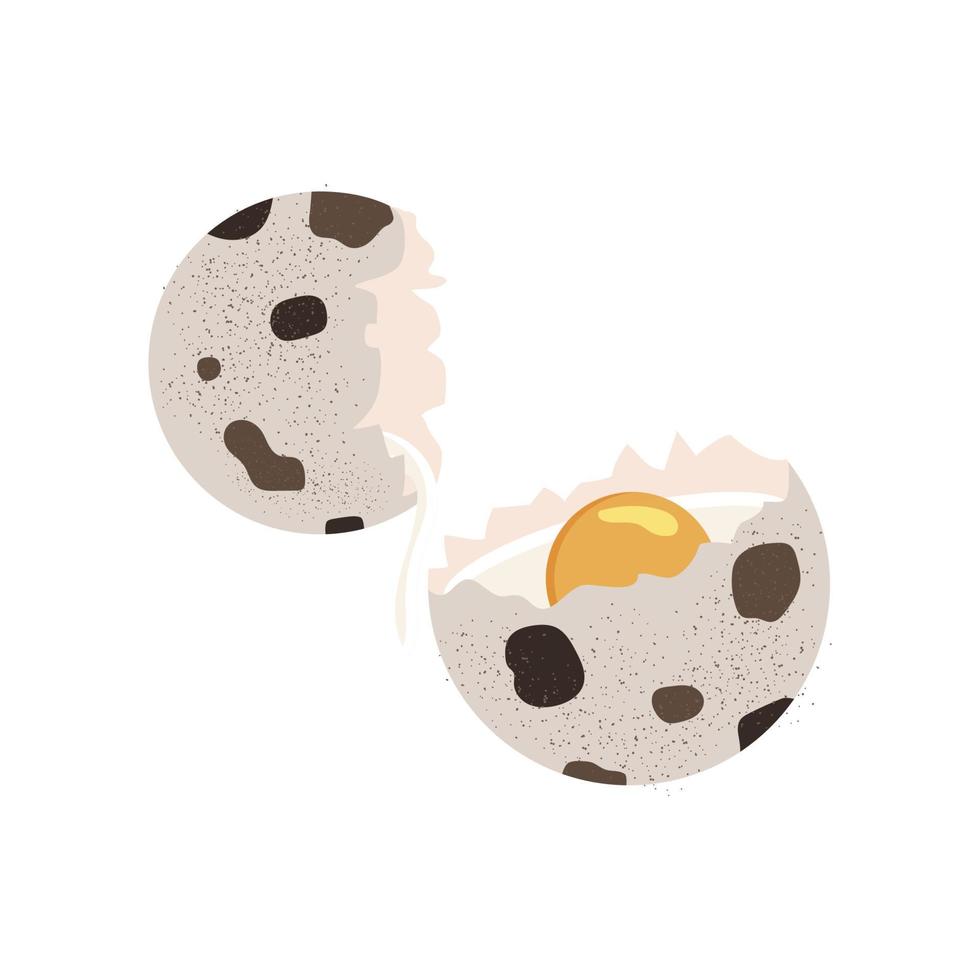 Vector illustrator of  Quail egg