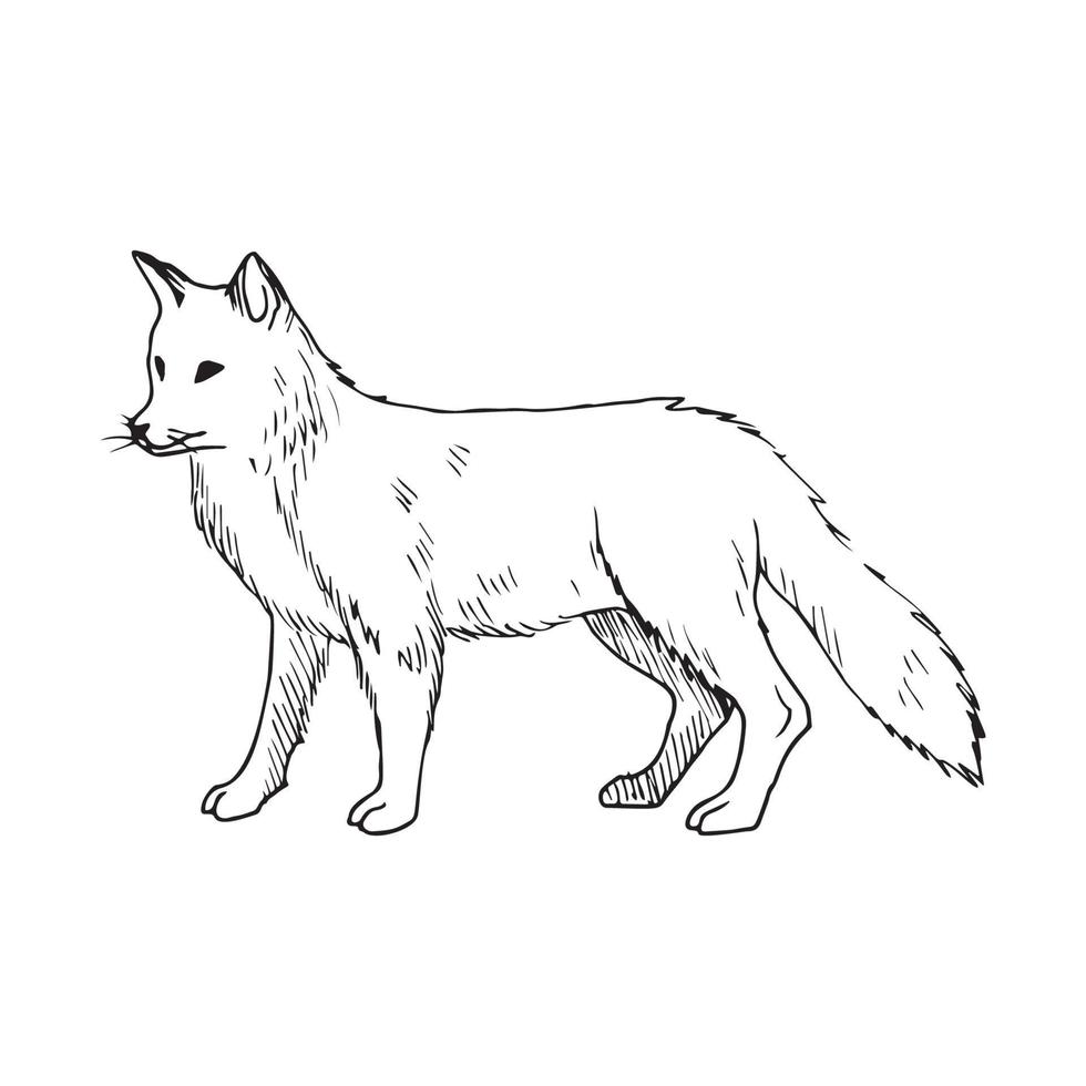 ilustración en estilo fox art ink vector