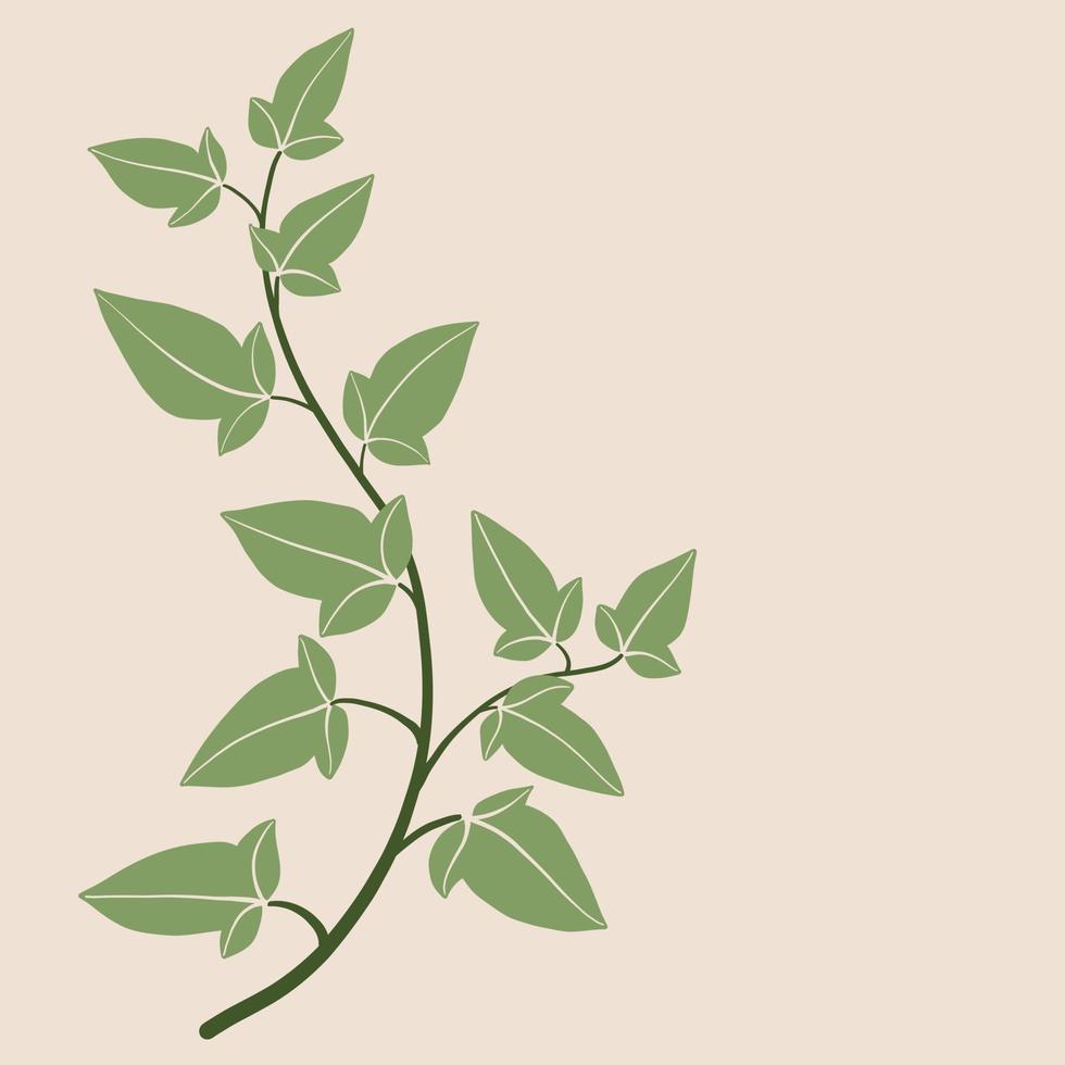 Simplicity ivy freehand drawing flat design. vector