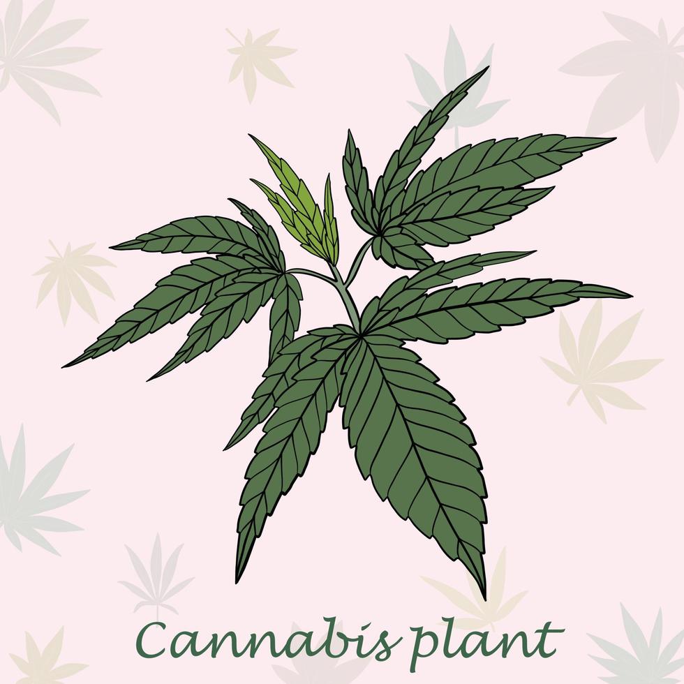 simplicidad planta de cannabis dibujo a mano alzada diseño plano. vector