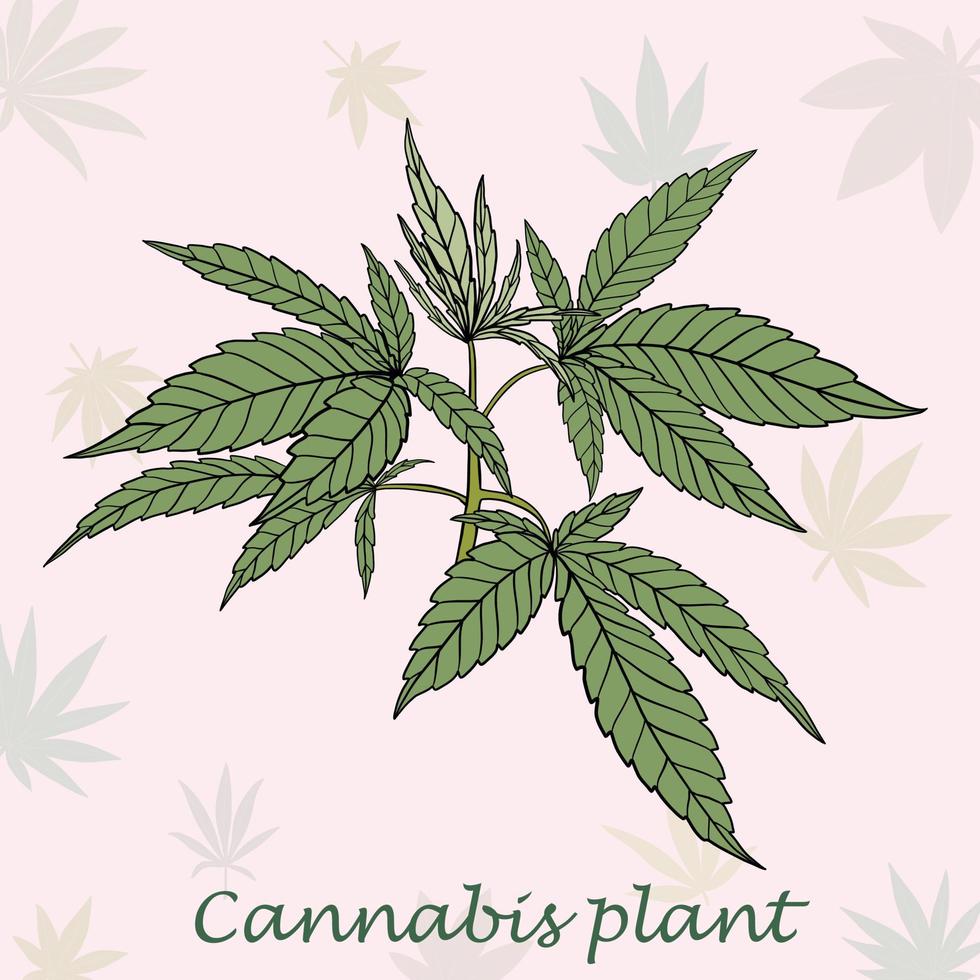 simplicidad planta de cannabis dibujo a mano alzada diseño plano. vector