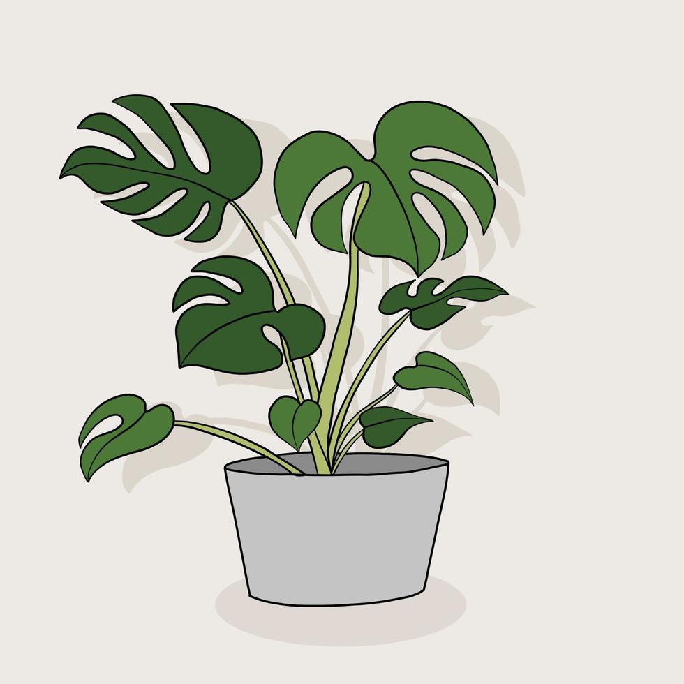 Simplicity monstera plant freehand drawing flat design. vector