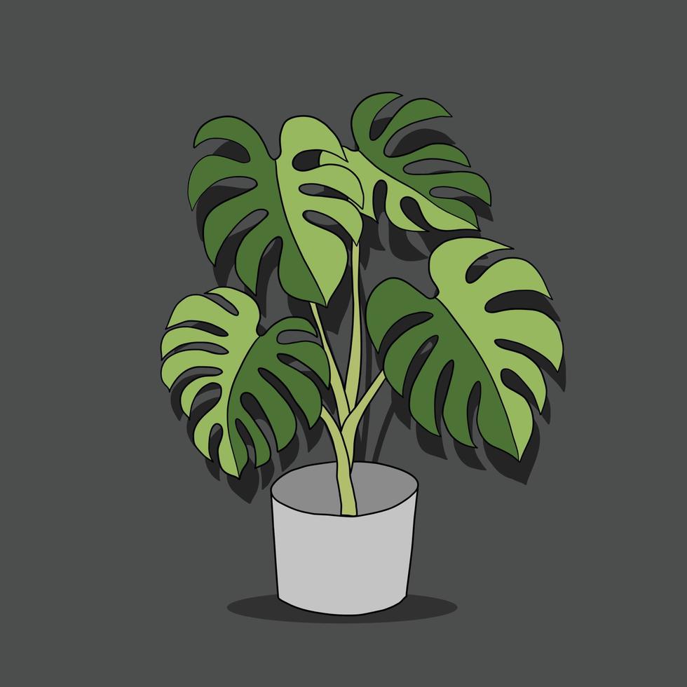 Simplicity monstera plant freehand drawing flat design. vector