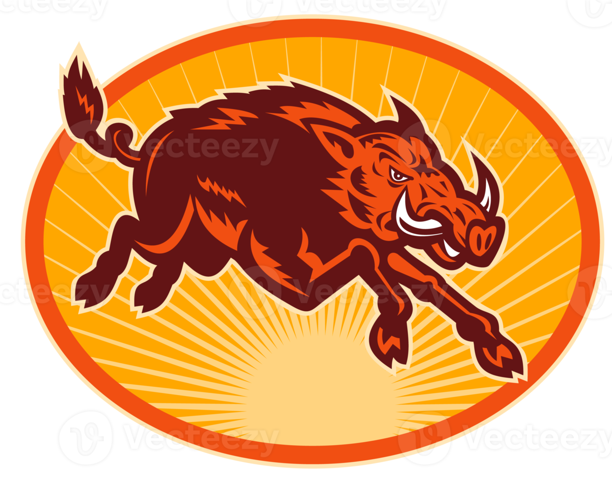 Charging attacking razorback wild boar or pig png