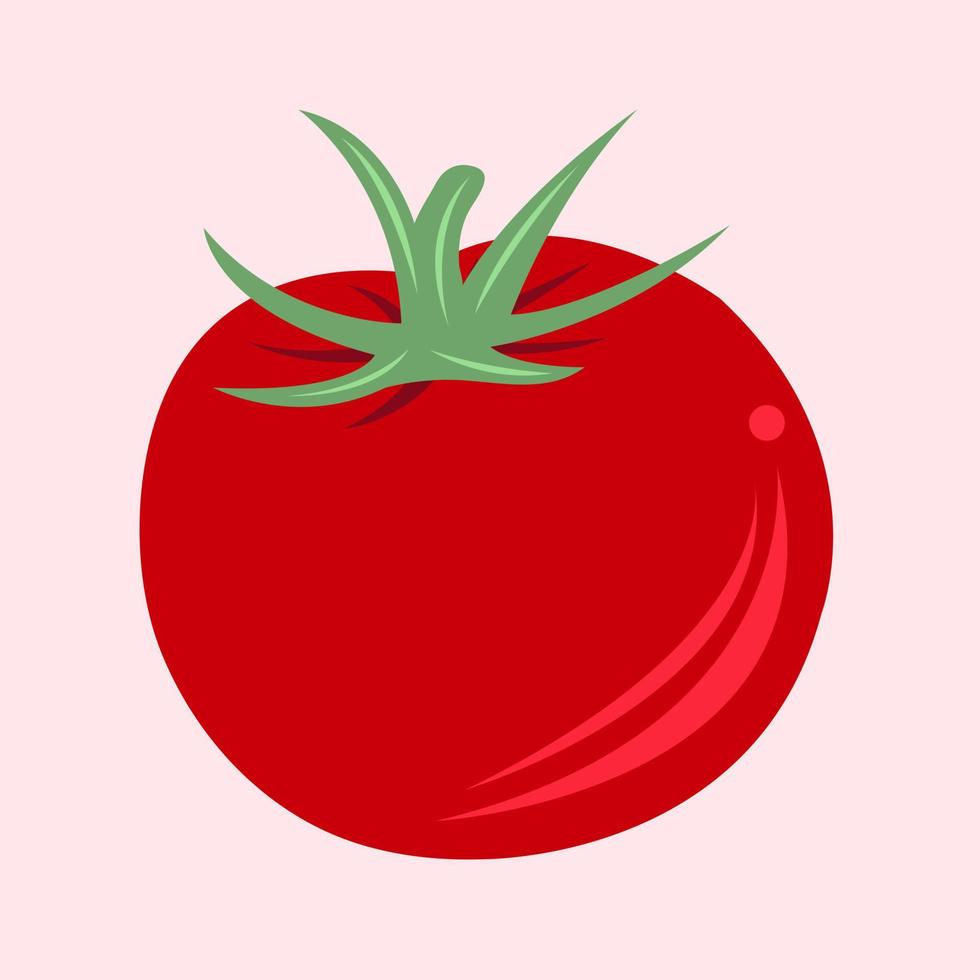 ilustración de vector de tomate para diseño gráfico y elemento decorativo