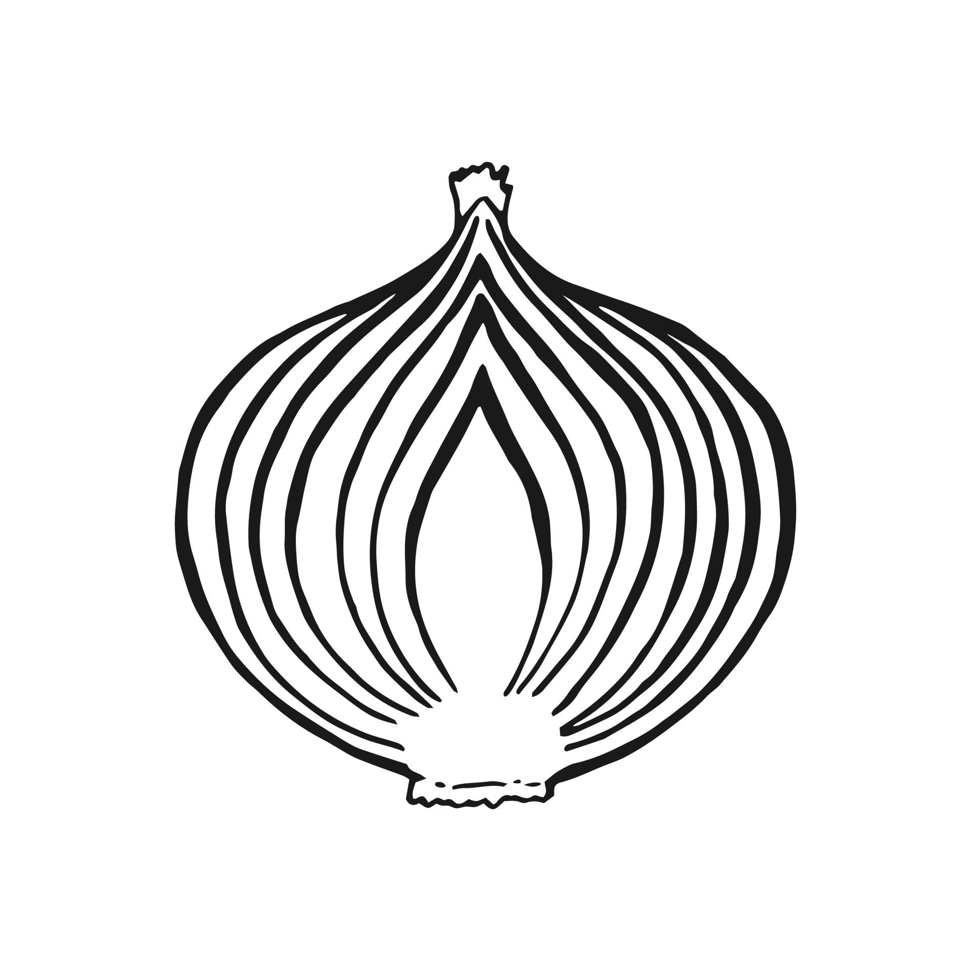 Onion slice outline. Hand drawn vector illustration. Farm market