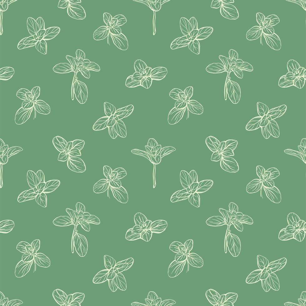 Basil Seamless Pattern.Hand-drawn illustration vector
