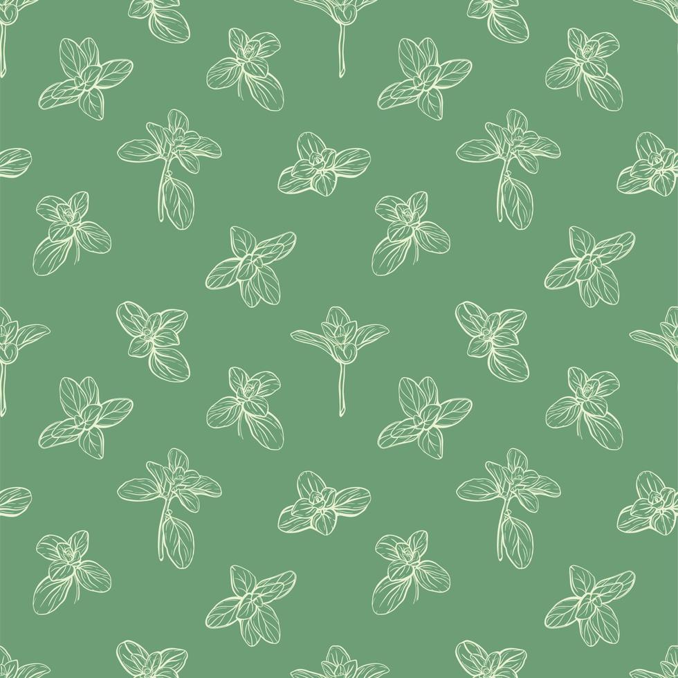 Basil Seamless Pattern.Hand-drawn illustration vector