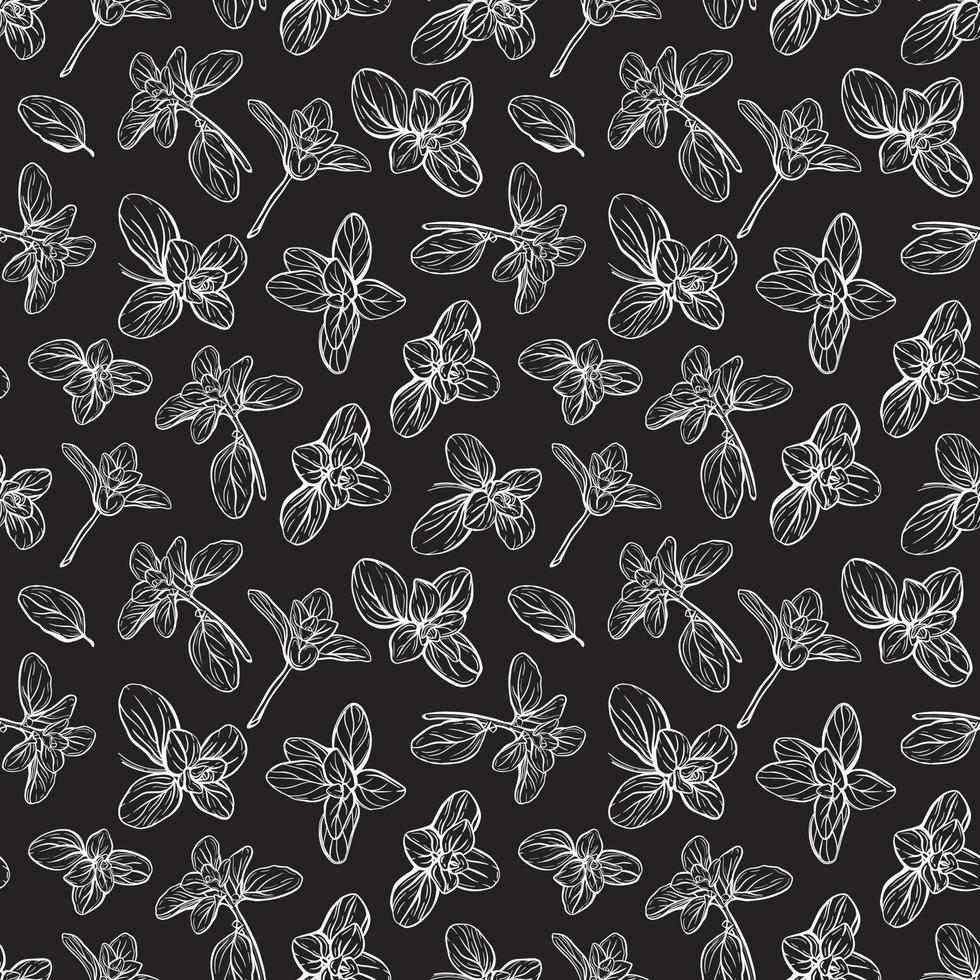 Basil Pattern. Italian herbs.A sprig of marjoram vector