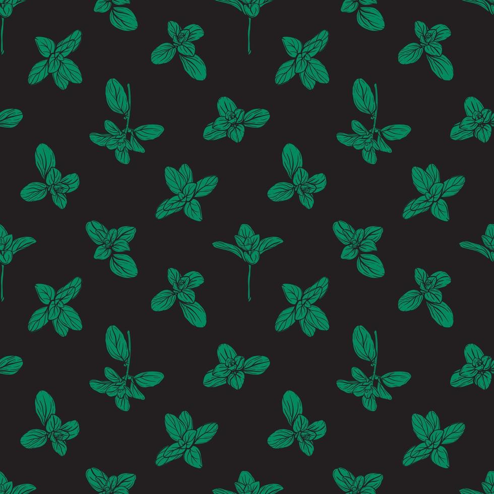 Basil Seamless Pattern.Marjoram pattern vector