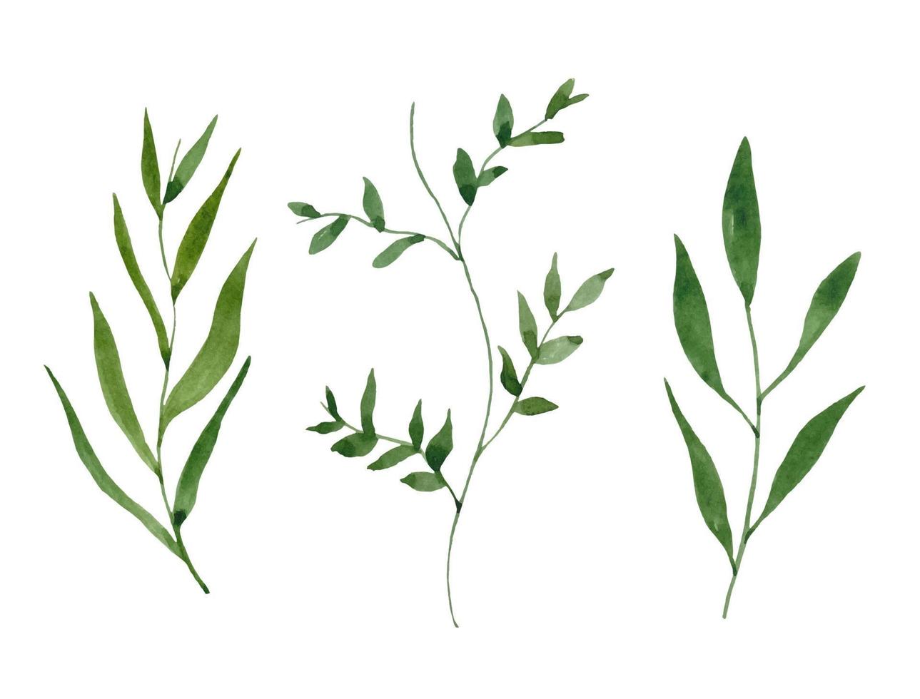 Collection of green watercolor isolated leaves vector