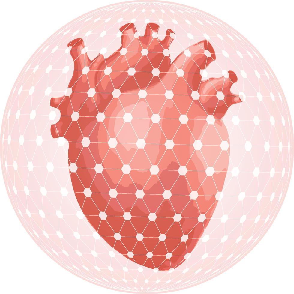 Human heart organs vector icon isolated