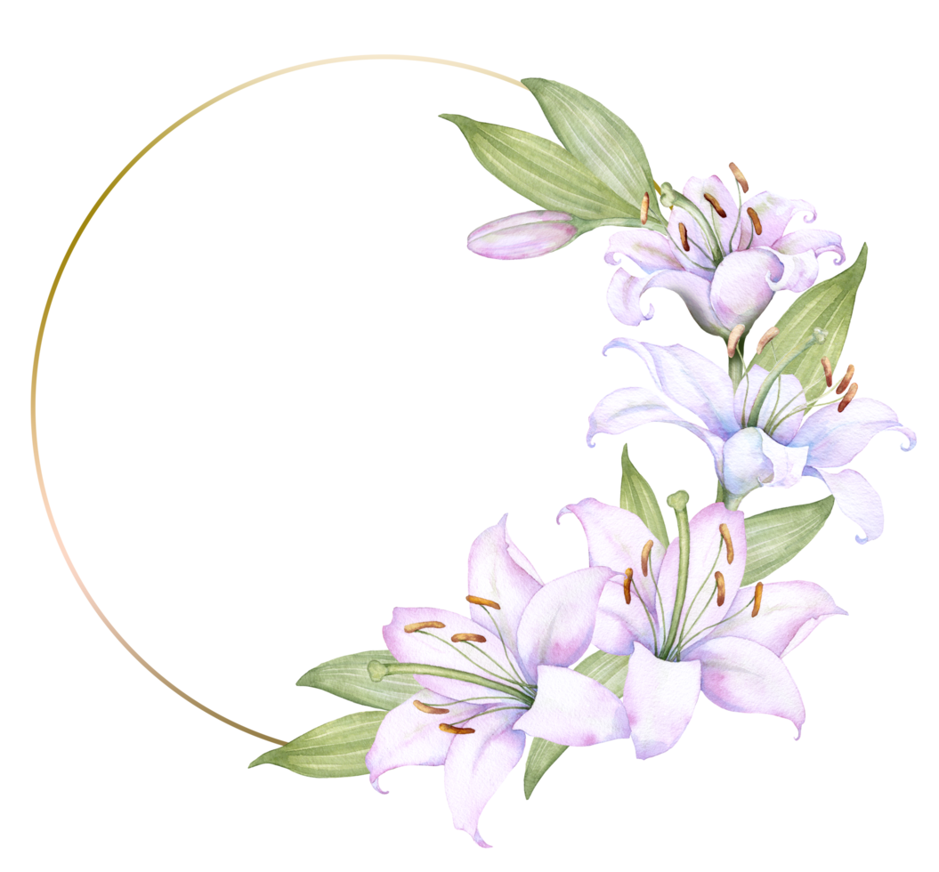 Free corona de marco dorado redondo con flores de lirio blanco y rosa, ilustración acuarela. aislado en blanco ideal para decorar invitaciones de boda, álbumes y carteles 12981301 PNG with Transparent Background Free corona de marco dorado redondo con flores de lirio blanco y rosa, ilustración acuarela. aislado en blanco ideal para decorar invitaciones de boda, álbumes y carteles 12981301 PNG with Transparent Background