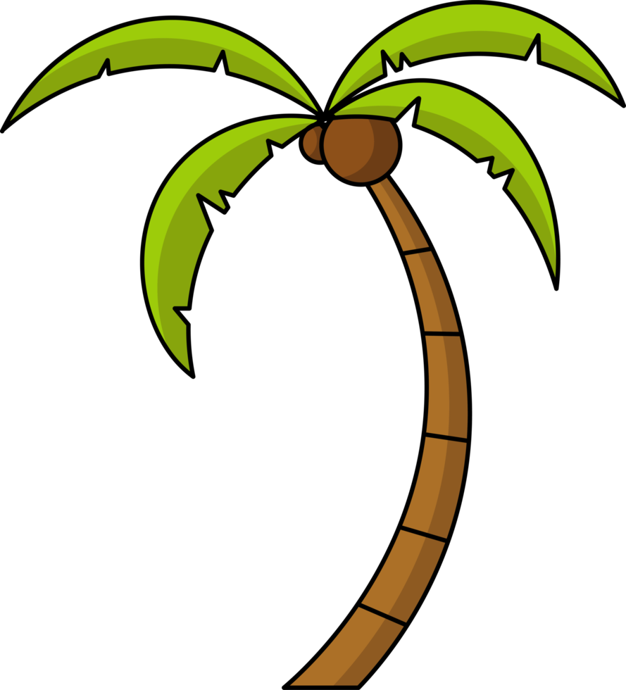 coconut tree design illustration isolated on transparent background ...
