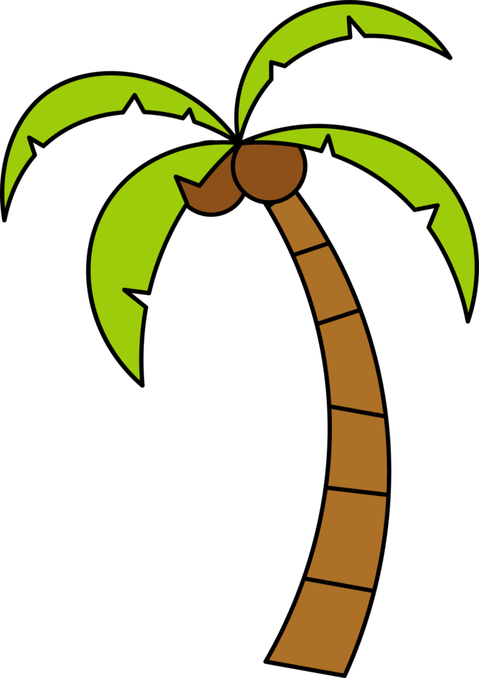 coconut tree design illustration isolated on transparent background png