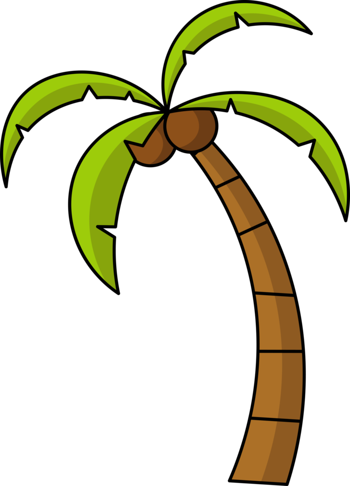 coconut tree design illustration isolated on transparent background png