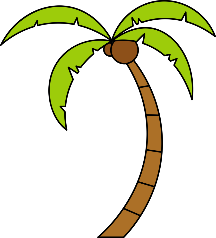 kokos träd design illustration isolerat på transparent bakgrund png