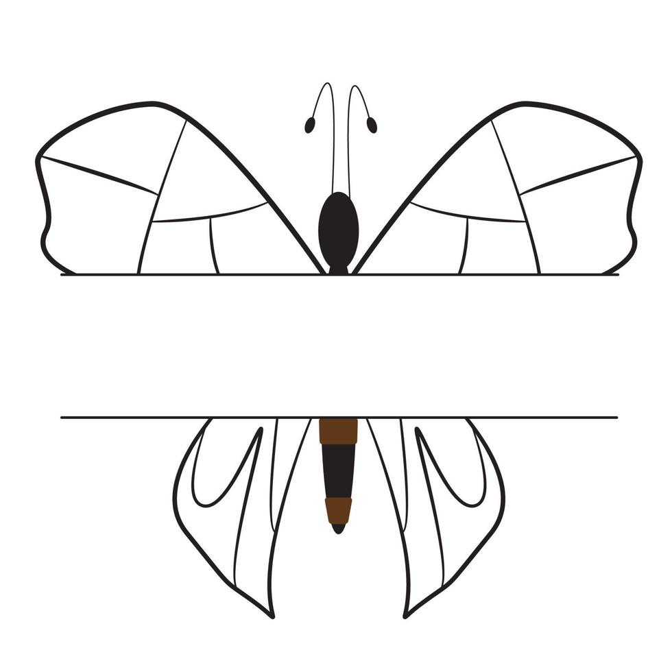 Beautiful butterfly with white background vector