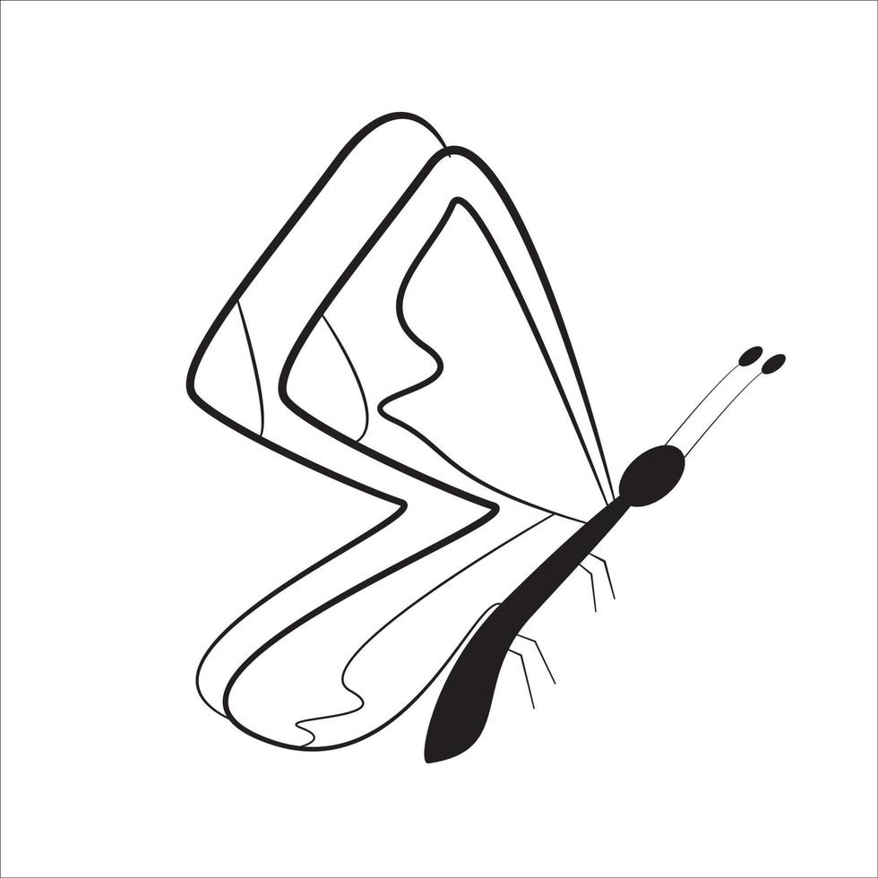 butterfly insect vector art line isolated doodle illustration