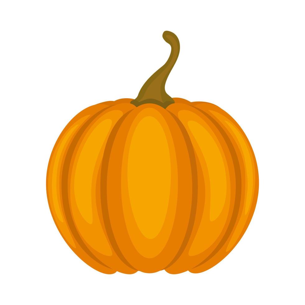 Autumn illustration. Bright orange pumpkin. vector