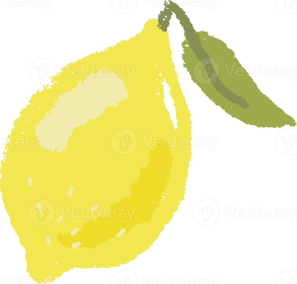 colorful fruit and vegetable in flat hand draw style png