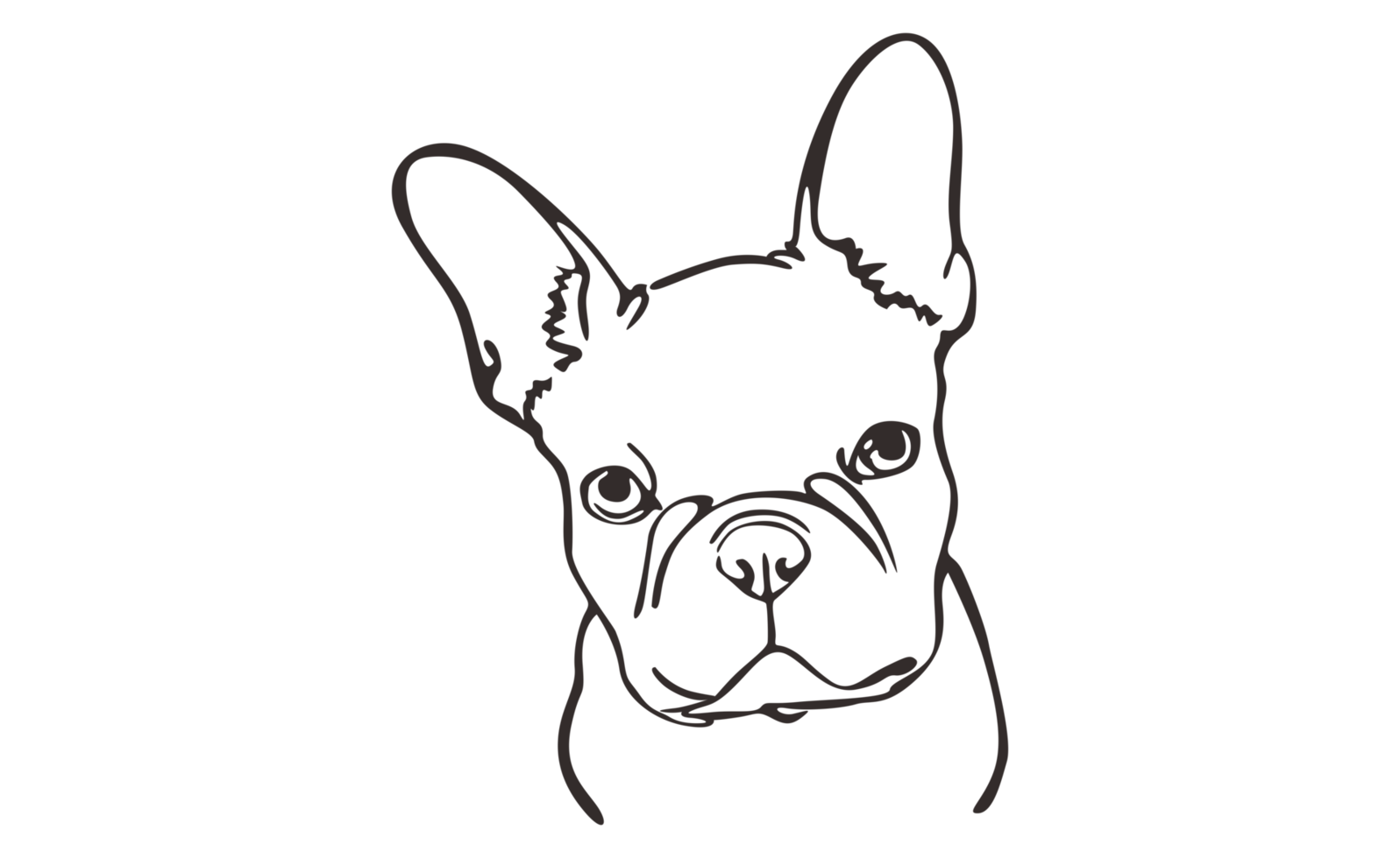 Buldog Head Line Art png