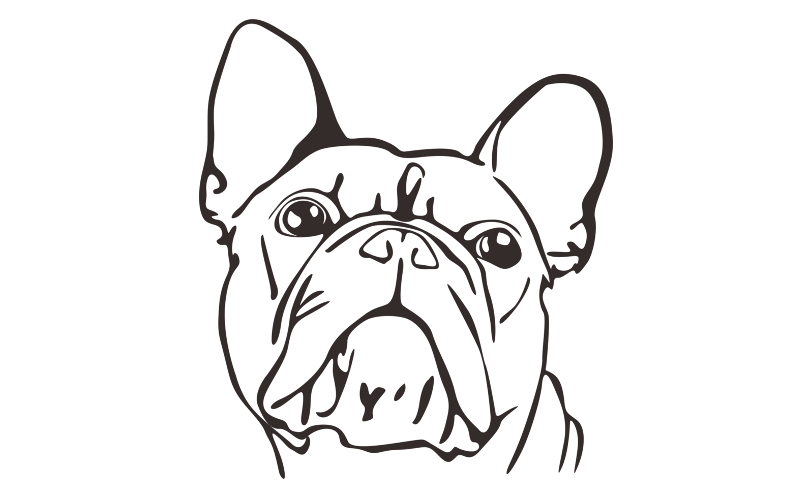 Buldog Head Line Art 12981654 PNG