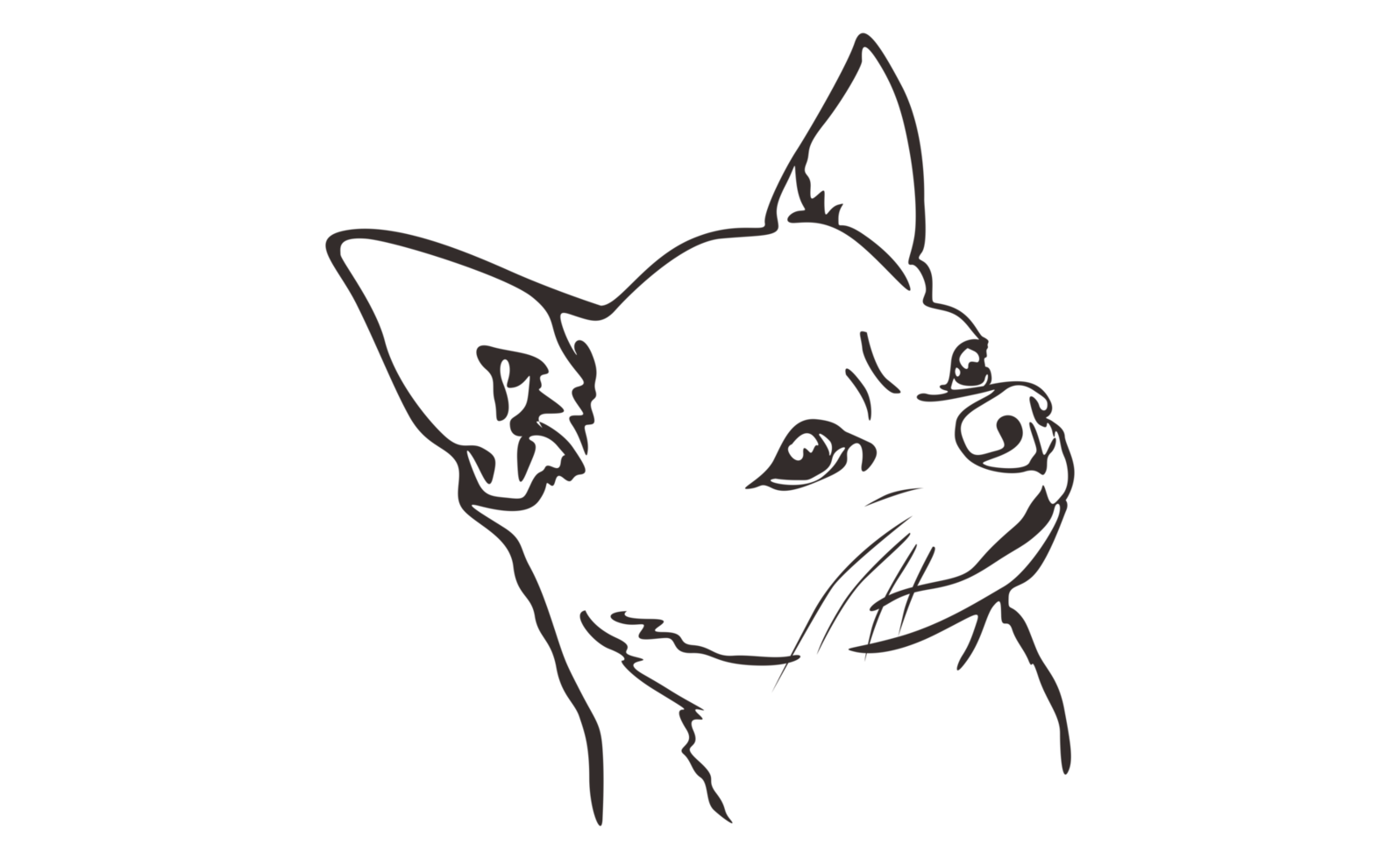 Chihuahua Dog Head Line Art 12981657 PNG