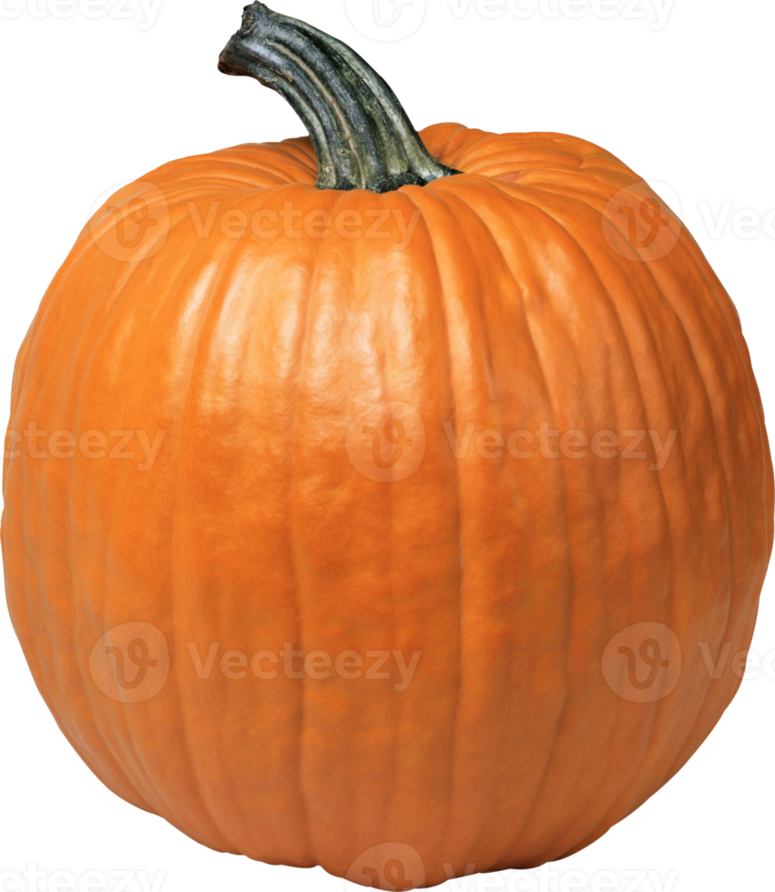 arancia zucca isolato png