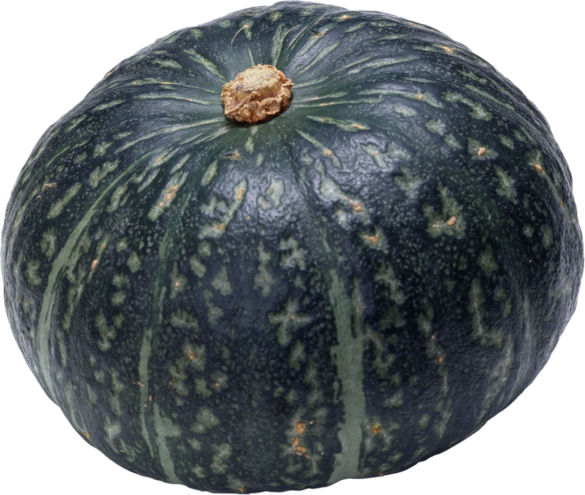 green pumpkin isolated png