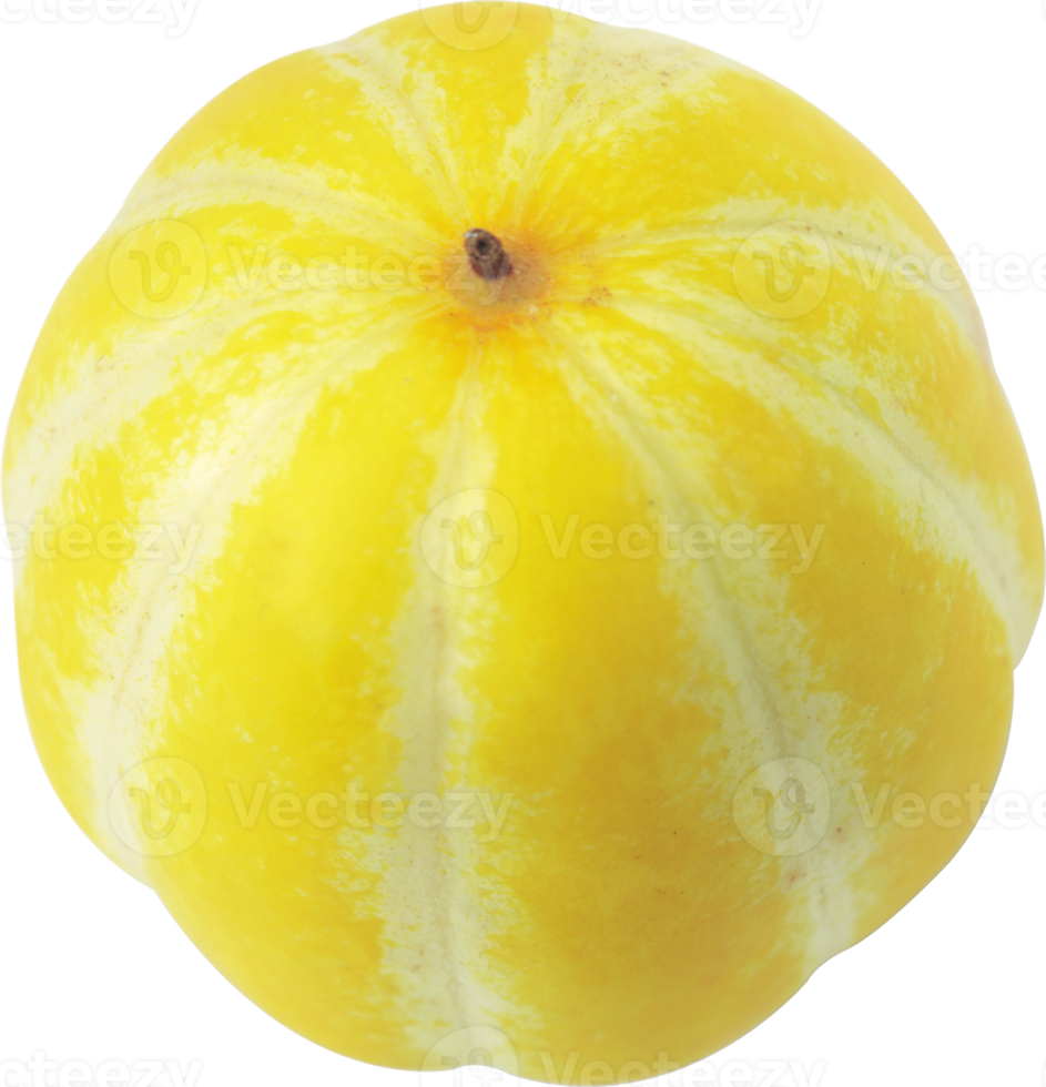 yellow melon isolated png