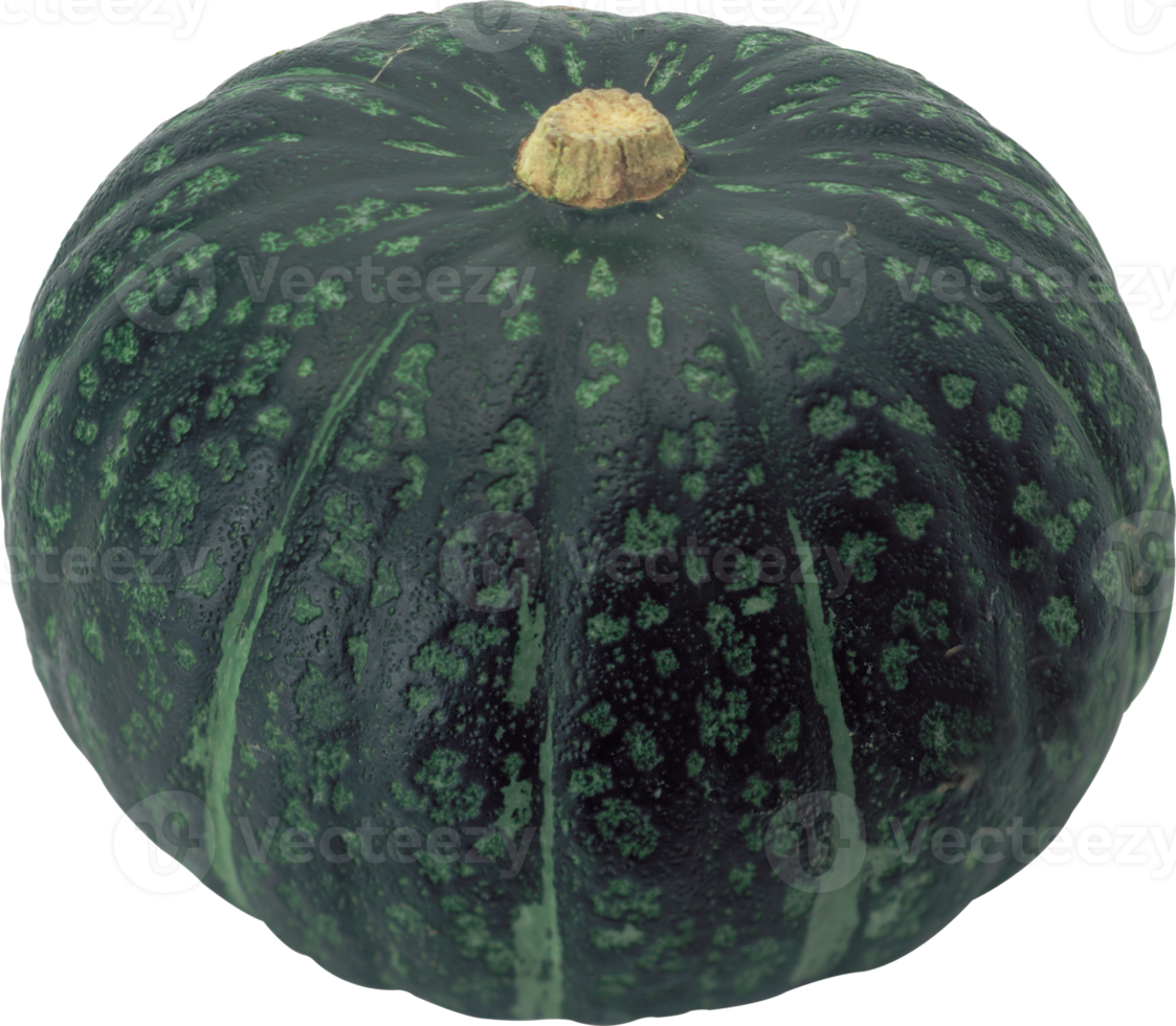 green pumpkin isolated png