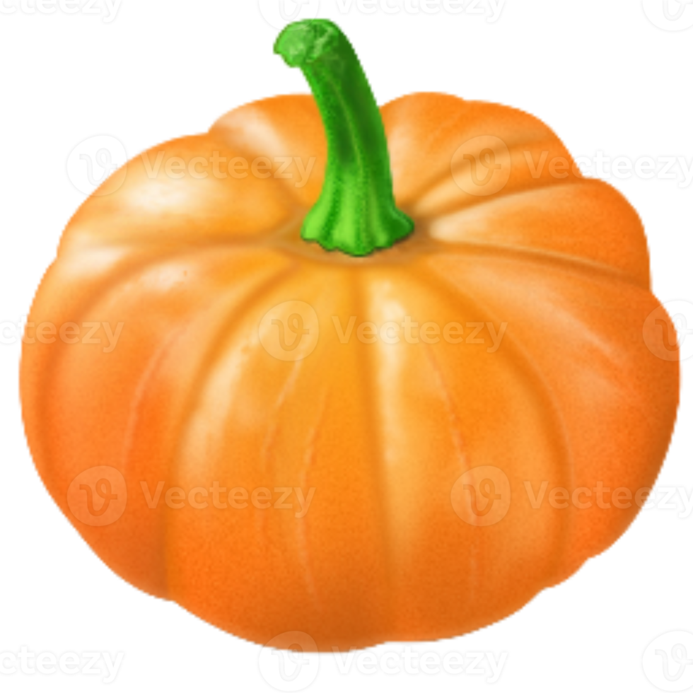 arancia zucca isolato png