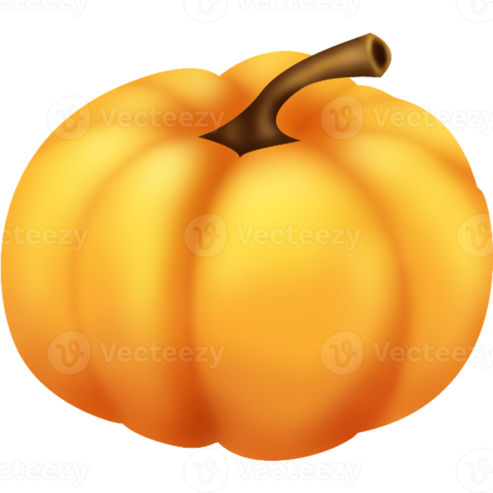 orange Kürbis isoliert png