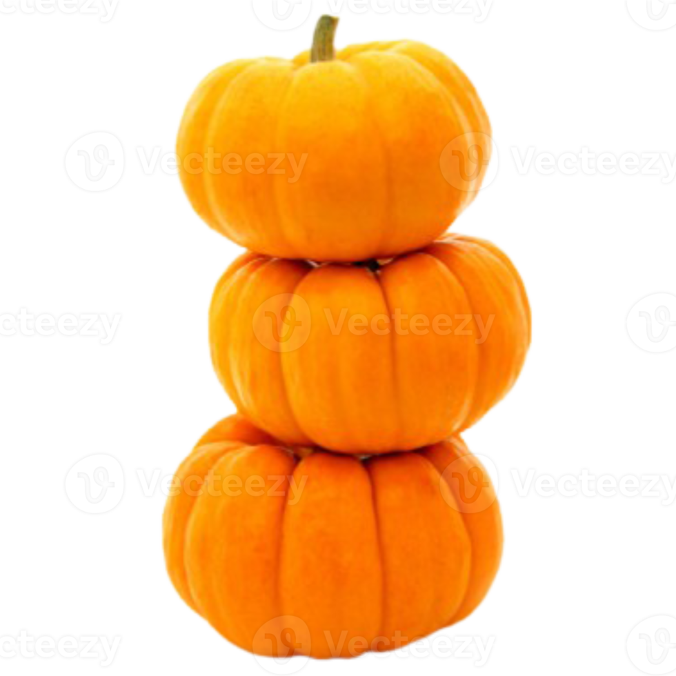 tas de citrouilles png