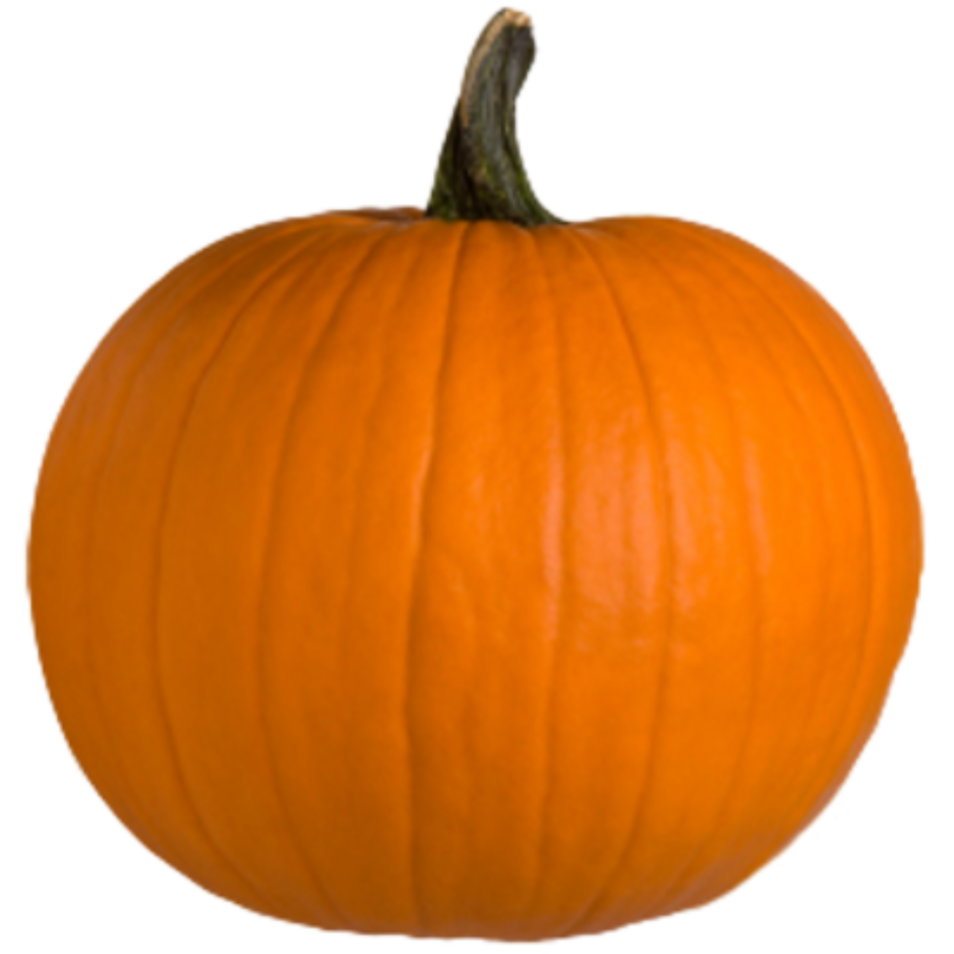 Orange Pumpkin Isolated 12981729 PNG