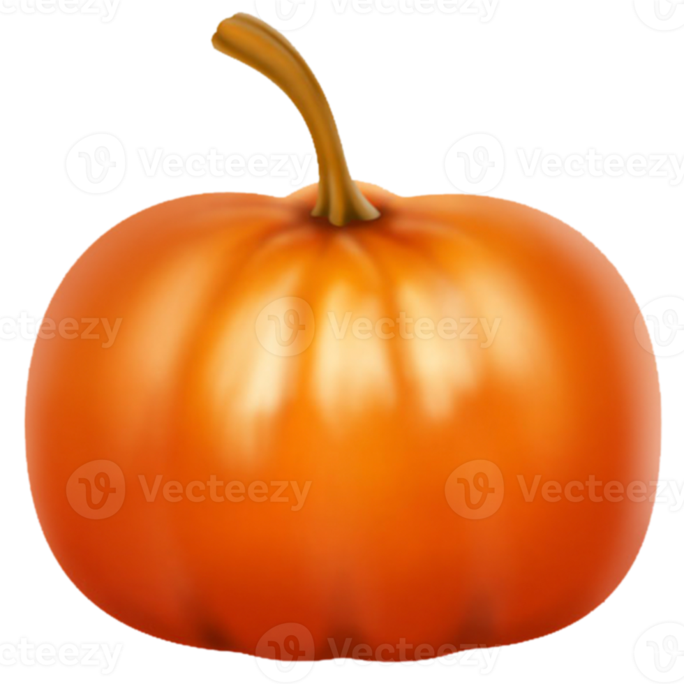 orange pumpkin isolated png